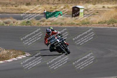 media/Apr-19-2025-AHRMA (Sat) [[3d98ca3309]]/Race/Group 8/Turn 4 part 2/